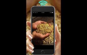 Explora y Descubre: Detecta Metales y Oro con tu Celular